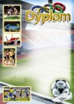 Dyplom sportowy nr 11