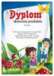  Dyplomy ukończenia przedszkola