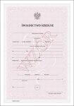 MEiN-I/13/2 - Świadectwa szkolne