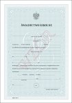 MEiN-I/5/1 - Świadectwa szkolne