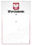 Dyplomy - Wyróżnienie - DP265T