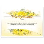 Podziękowanie (wersja dla przedszkoli) - DP179T