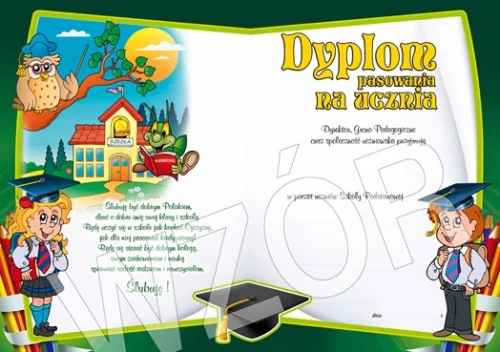 Dyplomy pasowania na ucznia - DS11 (składane)
